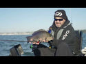 Carrete Daiwa Exceler LT 2023 Spinning // 1000, 2000, 2500, 3000, 4000, 5000, 6000