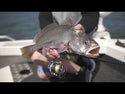 Shimano Stella FJ Spinning Reel // 2500