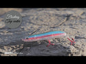 Señuelo Paseante Superficie Ykr Sanchesky // 90mm / 10g