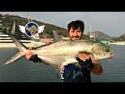 Señuelo Jig Gran Craft Coso Jig // 10g, 14g, 20g, 30g, 45g, 60g, 80g, 100g