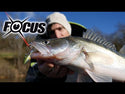 Señuelo Vinilo Sawamura Paddletail One Up Shad //  124mm, 148mm