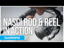 Shimano Nasci FC Spinning Reel // 2500, 3000, 4000, 5000