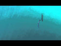 Señuelo Inchiku Hart RSF Light // 50mm - 20g