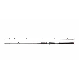 Beast Casting Rod