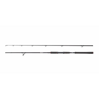 Beast Spinning Rod