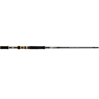 Cinnetic Raycast XBR Sea Bass Light Game Spinning Rod // 5-27g, 10-35g, 15.45g, 15-50g, 20-70g / 2.40m, 2.70m, 3.00m, 3.30m