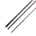 Daiwa Emblem Surf Type R Surfcasting Rod // 100-225g / 4,20m