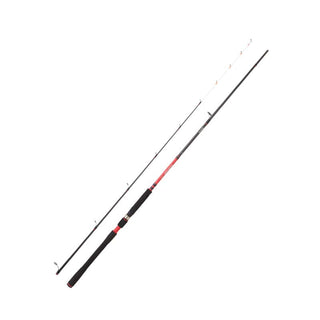 Caña Daiwa Powermesh Tenya Spinning // 2,40m // 10-40g, 20-70g