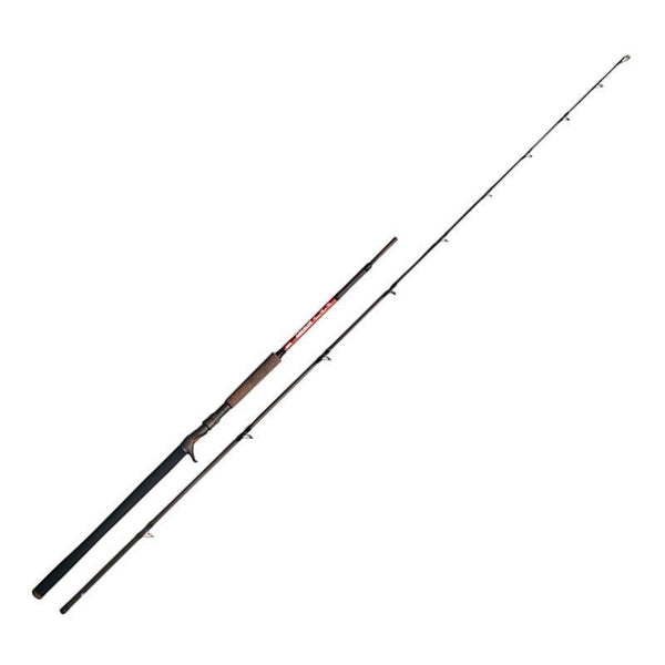 Hart Toro Big Bait TS Casting Rod // 80-200g / 2,70m