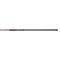 Penn Prevail II Surf Rod // 2.50m, 100-250g