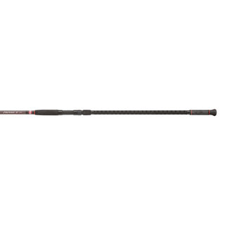 Penn Prevail II Surf Rod // 2.50m, 100-250g