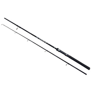 Caña Spinning Wizard Active // 20-50g - 2.10m,2.40m