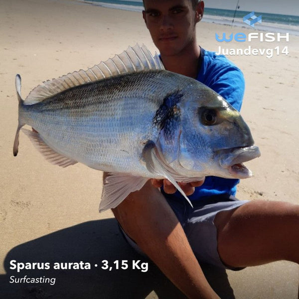 Caña Vercelli Oxygen Tirreno Surfcasting  // 100-200g / 4,20m