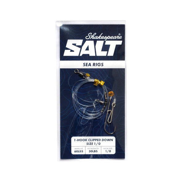 SALT Rig