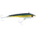 H71 YELLOWFIN