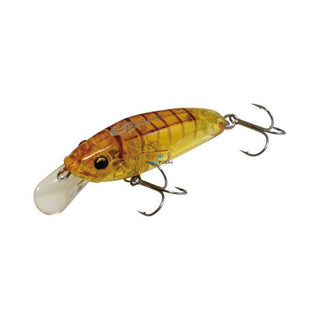 Buy brown-tiger Señuelo Minnow Magbite Gracy SS // 38mm - 2.8g