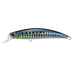 Royal Sardine SW