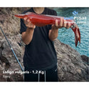 DTD Full Color Oita Bow Tie // 3.0, 3.5, 4.0