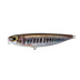 17 Royal Minnow