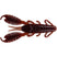 Spring Craw